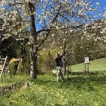 Berggasthof Butzn Wirt 2*