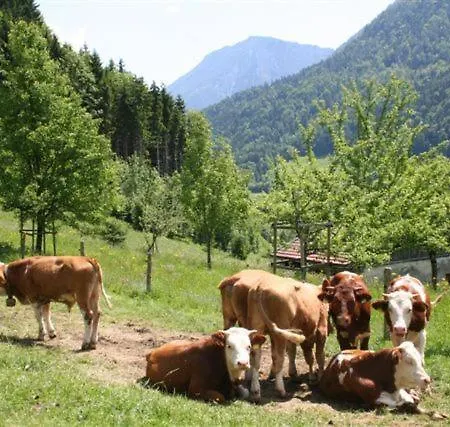 Hotel Berggasthof Butzn Wirt
